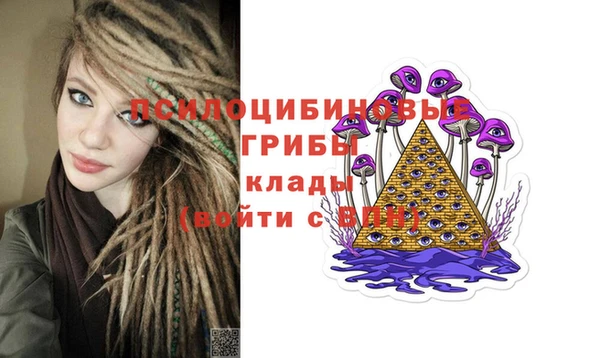 сатива Алексин