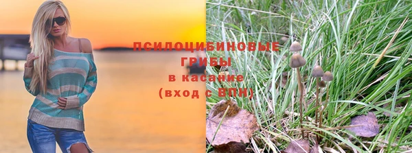 ECSTASY Михайловск